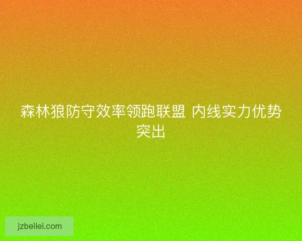 森林狼防守效率领跑联盟 内线实力优势突出