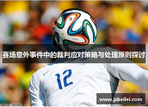 赛场意外事件中的裁判应对策略与处理原则探讨